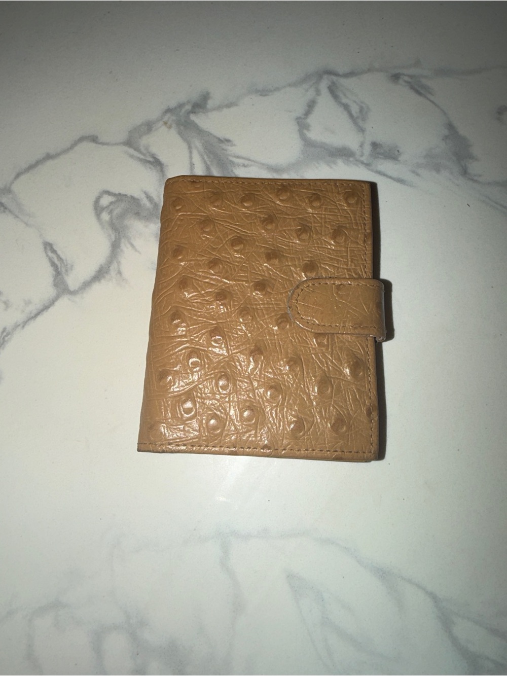 Slim Croc-Embossed Card Holder in Taupe